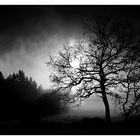 Mein Lieblingsmotiv.....