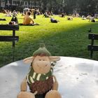 Mein Lieblingspark - Der Bryant Park