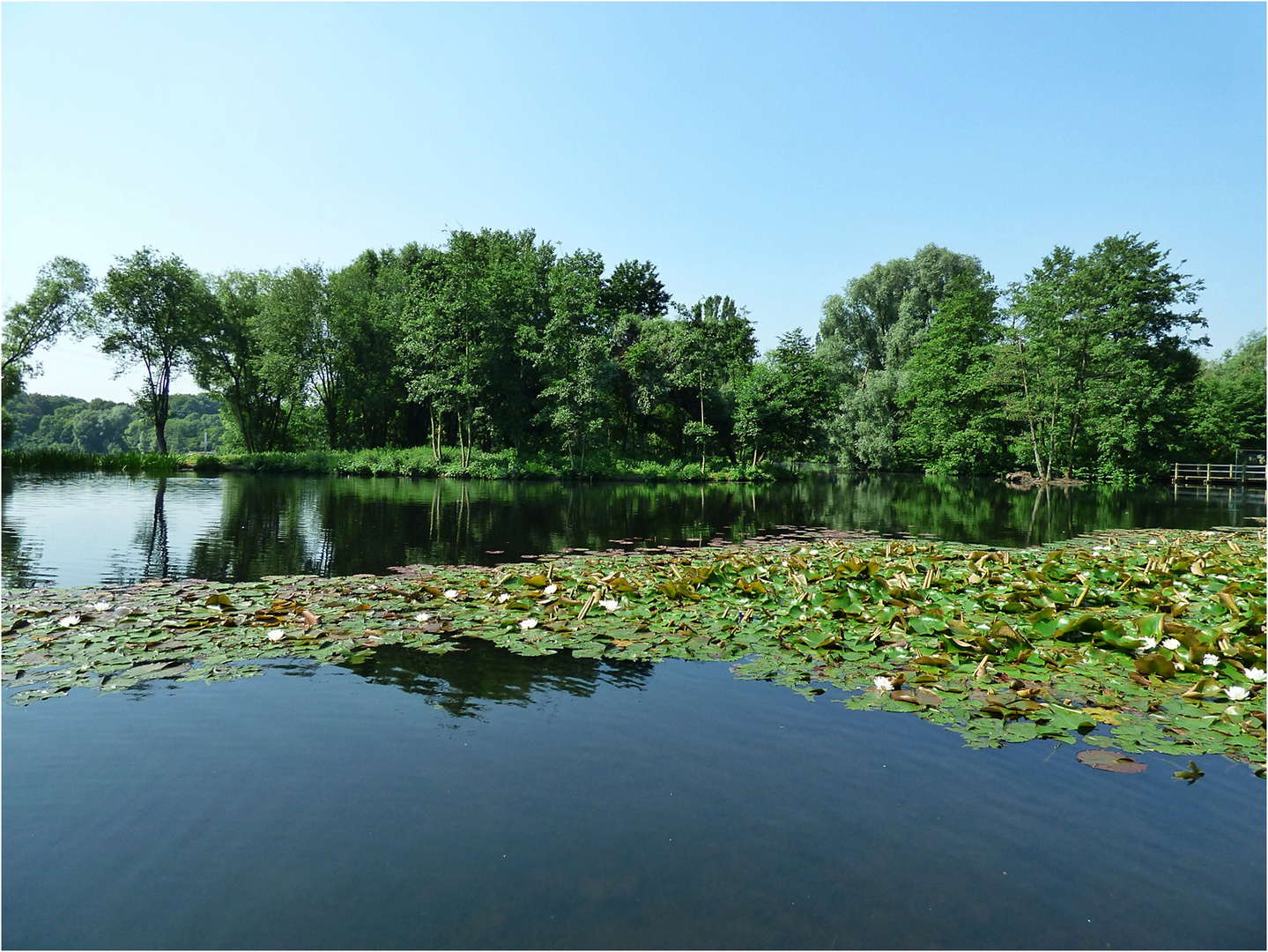 Mein Lieblingsplatz im Südpark