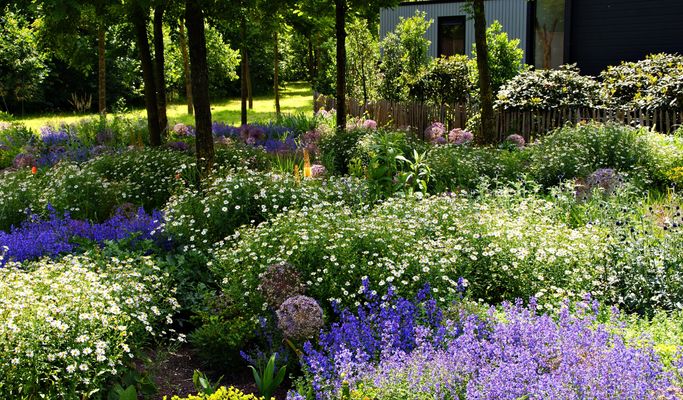 Mein Liebster Blumengarten