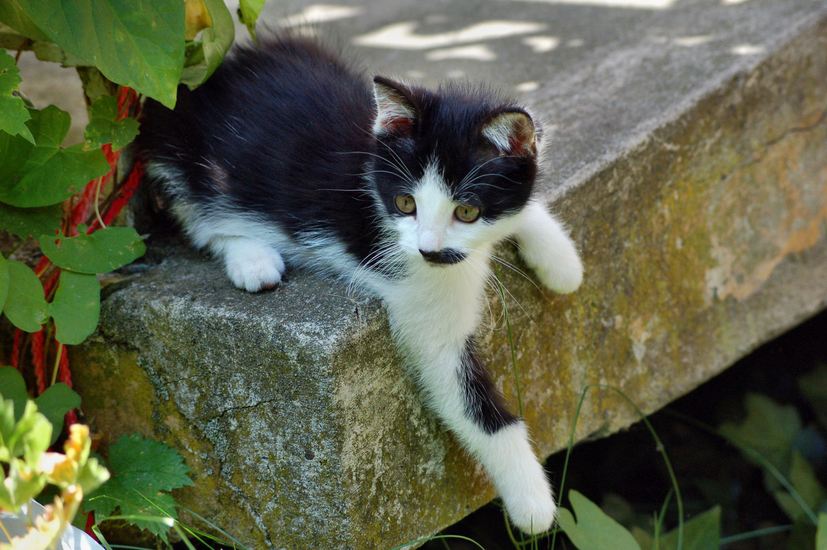 Mein Lieschen entdeckt den Garten 2