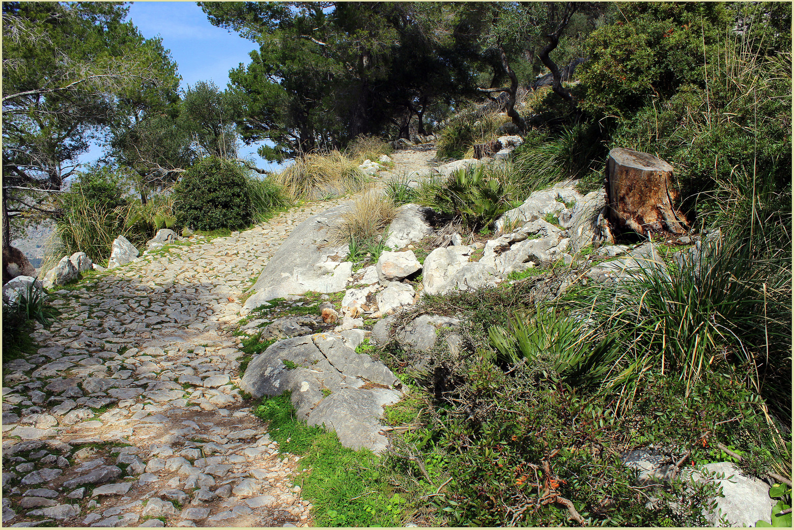 Mein Mallorca- Aufstieg auf den Puig de Maria bei Pollensa