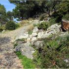 Mein Mallorca- Aufstieg auf den Puig de Maria bei Pollensa