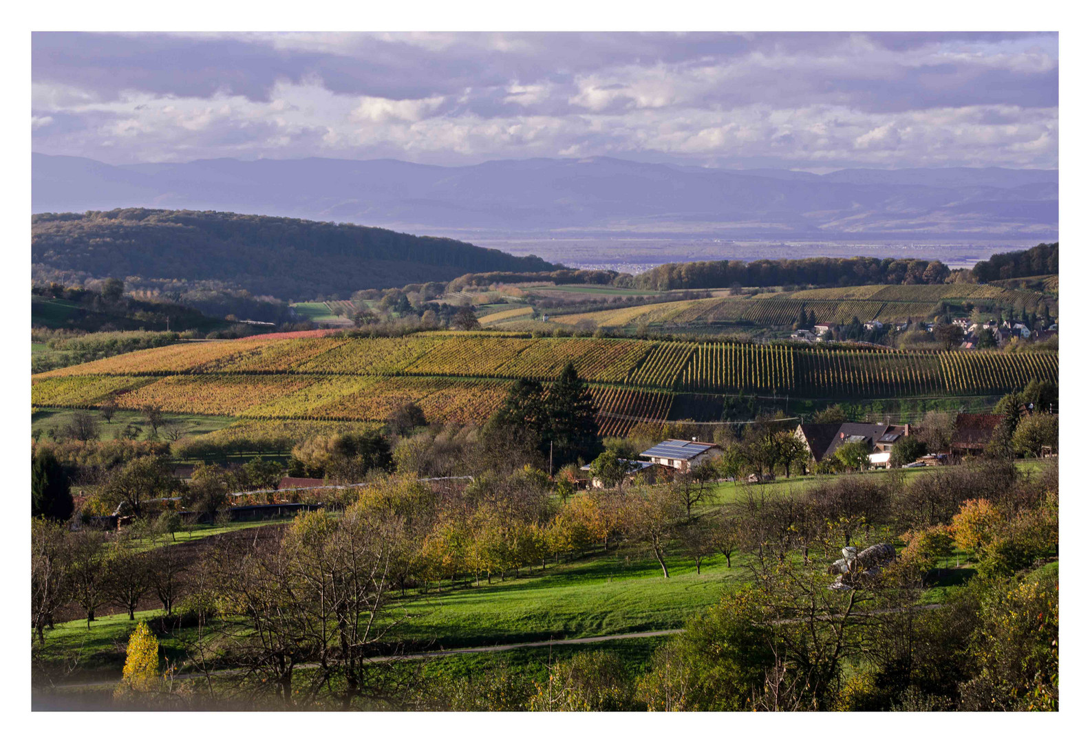 Mein Markgräflerland