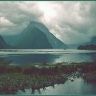 Mein Milford Sound