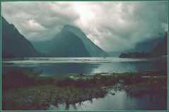 Mein Milford Sound