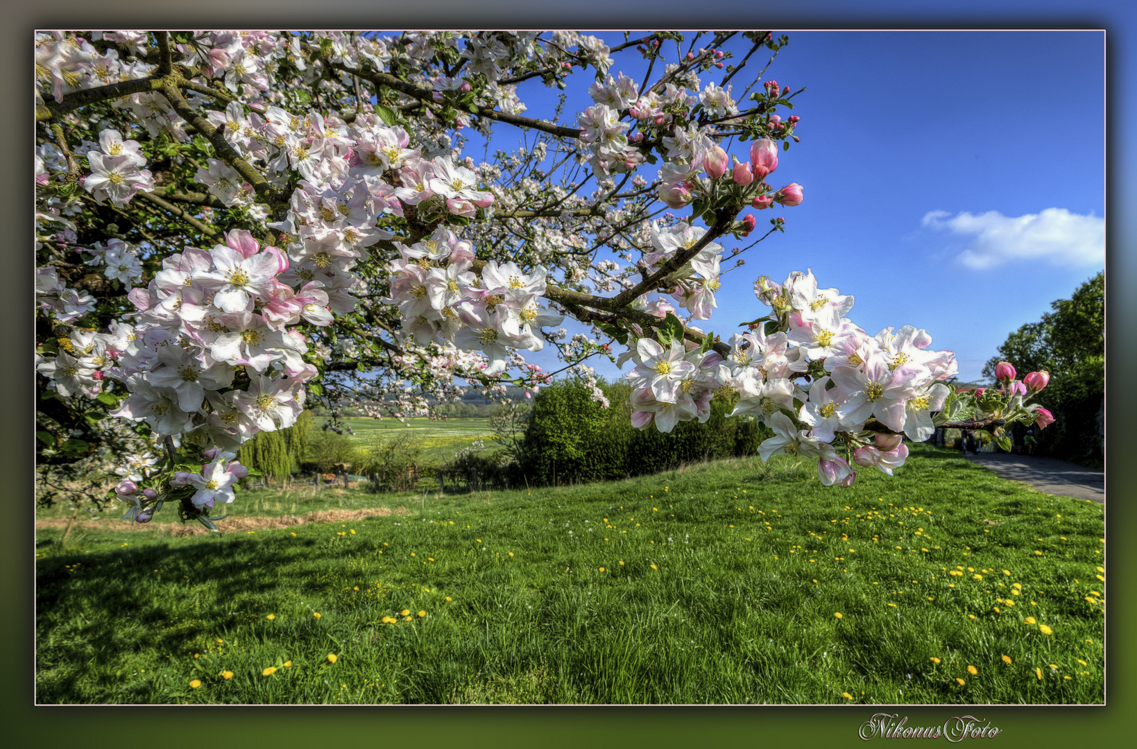  mein Mittwochsblümchen 04.05.2022 