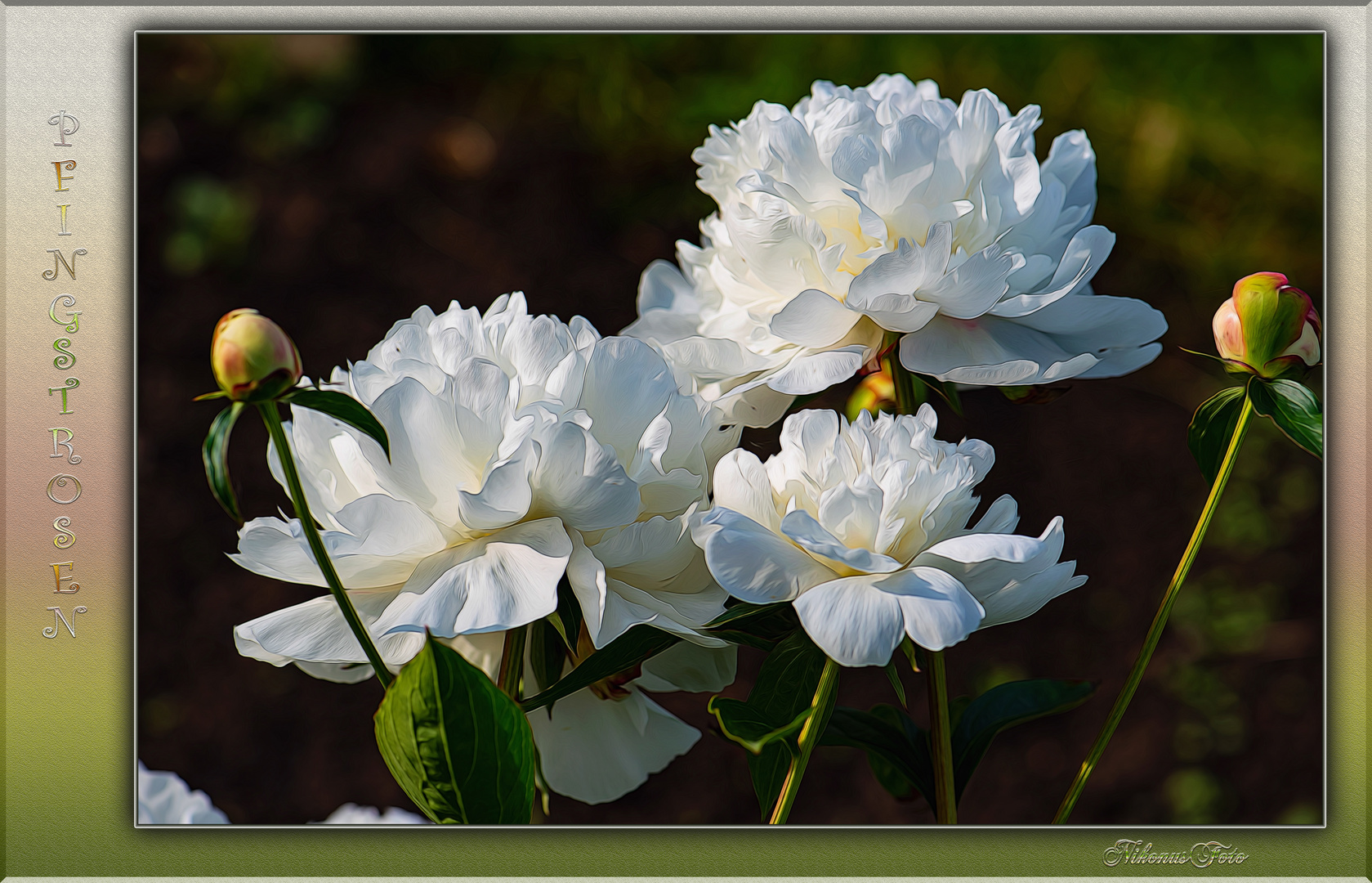  mein Mittwochsblümchen 16.06.2021