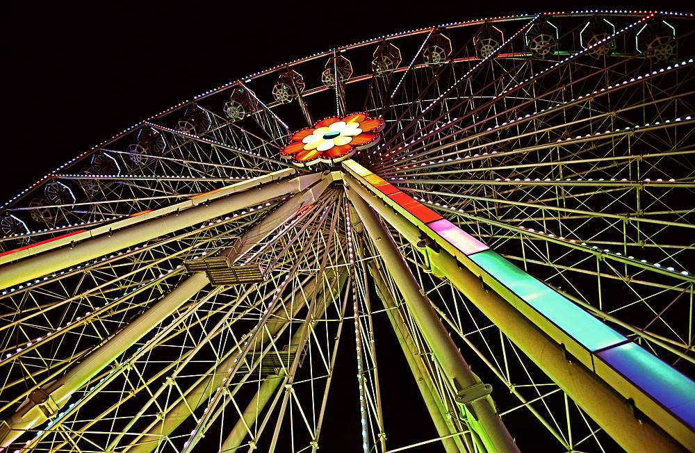 Mein "Mittwochsblümchen" aus dem Wiener Prater....