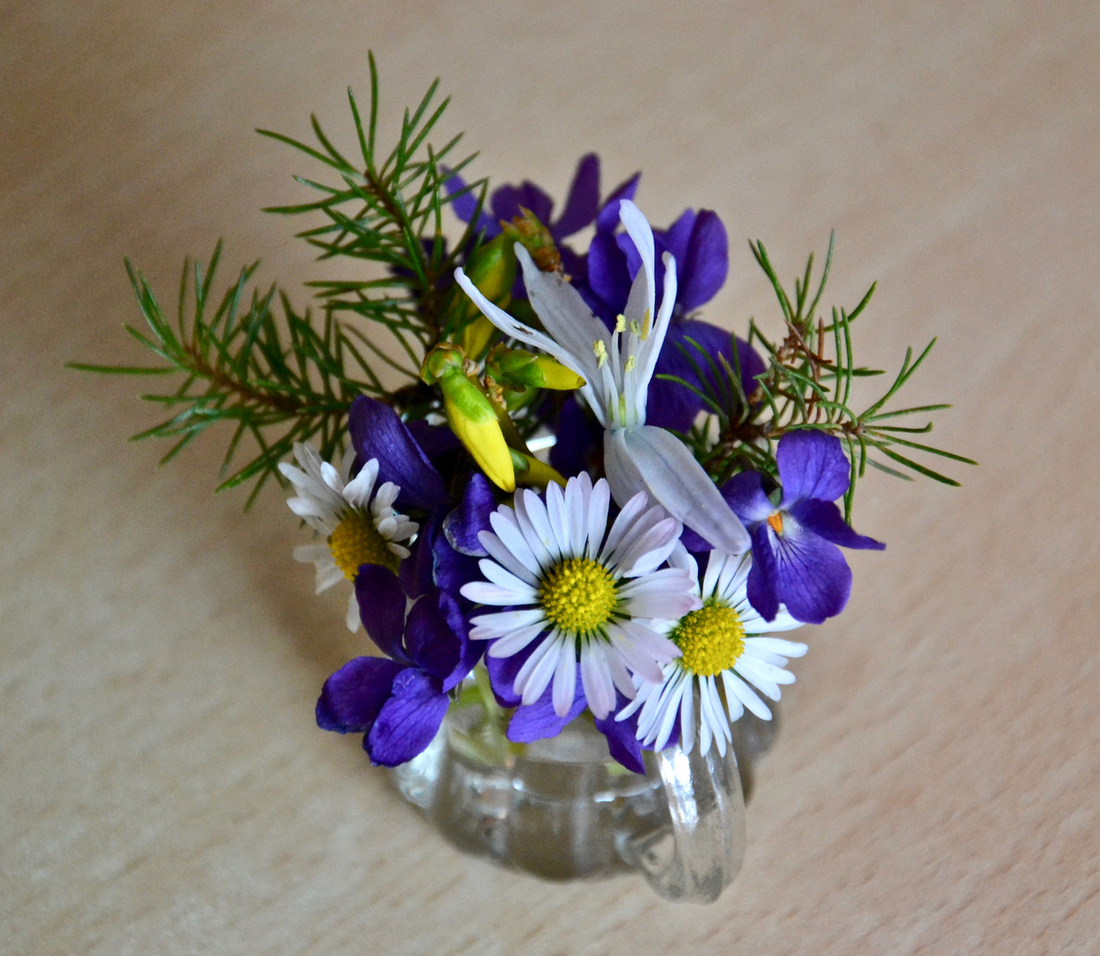 Mein Mittwochsblümchen zum heutigen Frühlingsanfang…