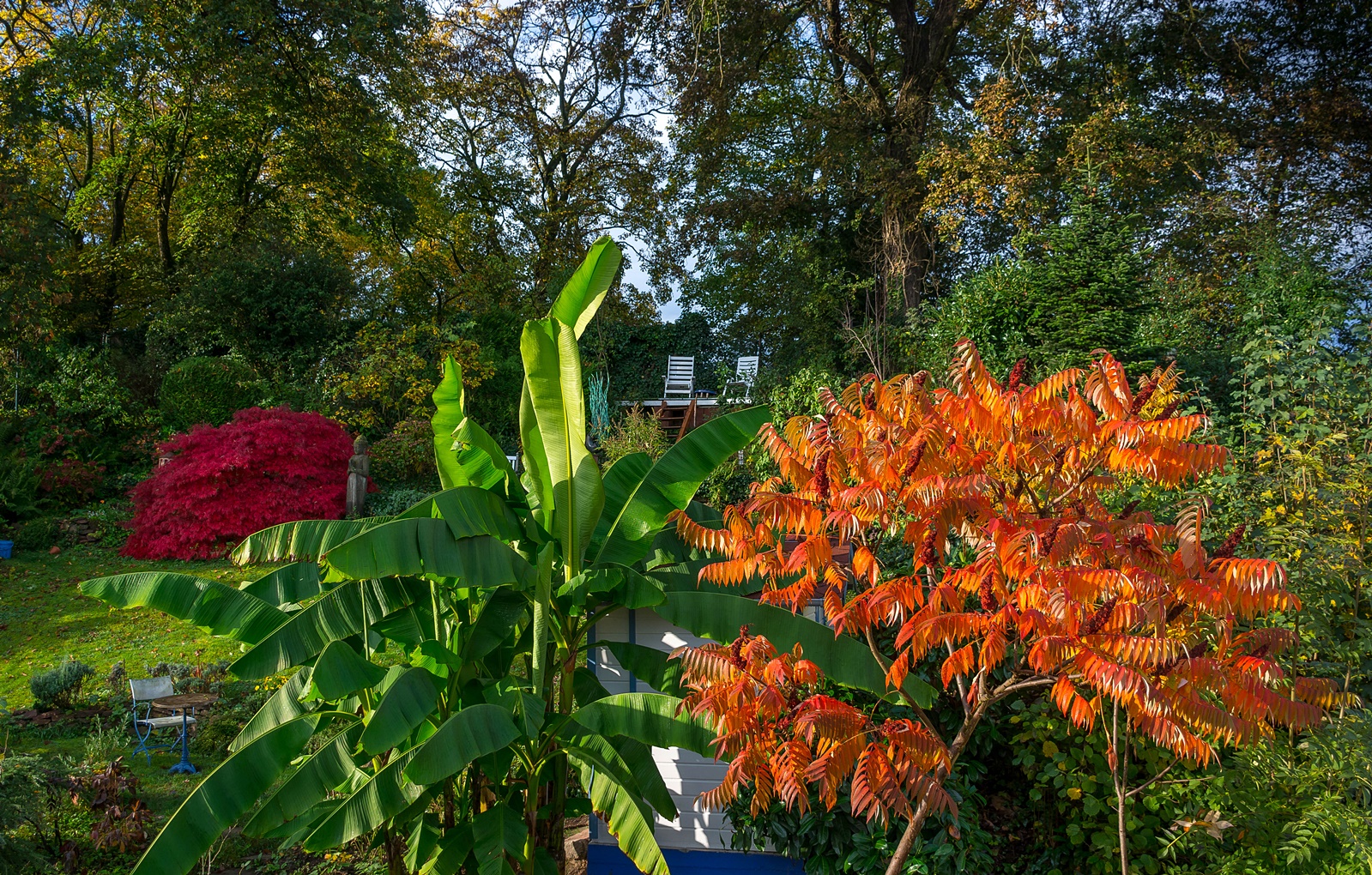 Mein Mittwochsgarten