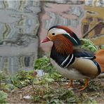 mein Model beim usertreffen Tübingen