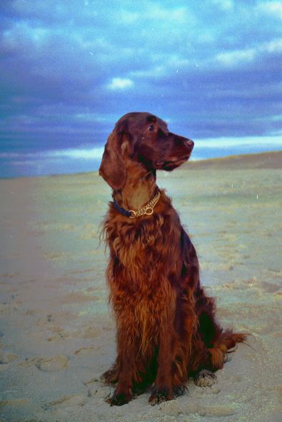 Mein Model Joy am Strand