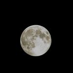 Mein Mond - 13.12.2008/ 00:49 Uhr
