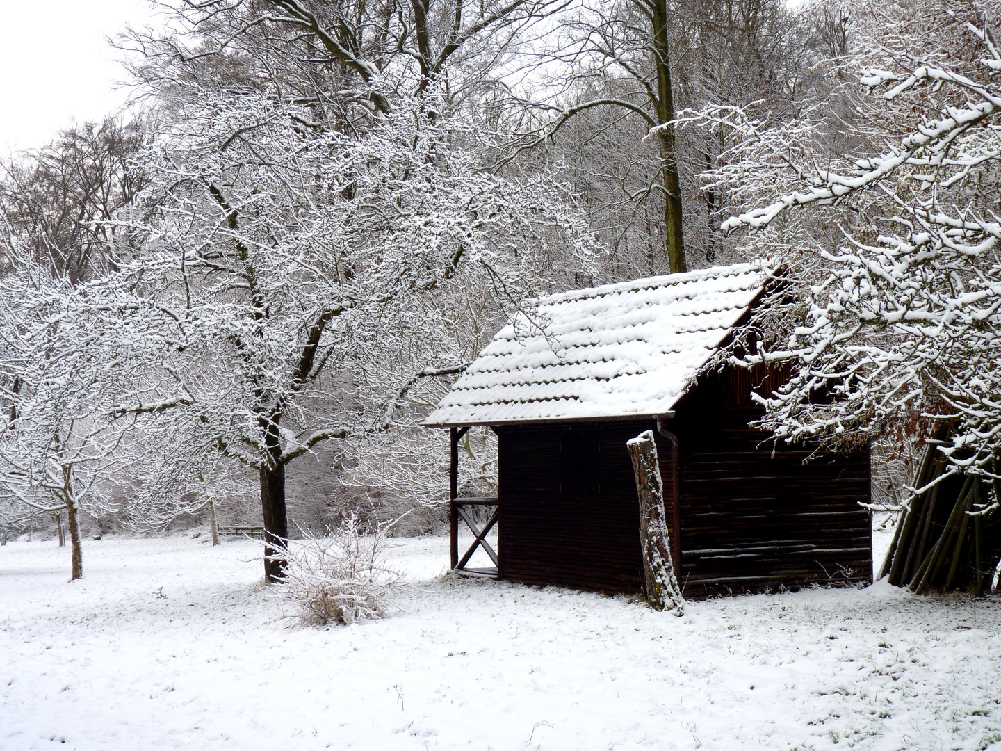 Mein Morgenspaziergang... die Hütte