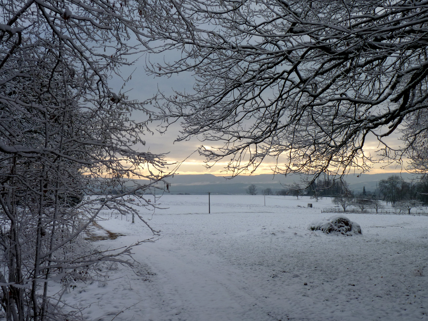 Mein Morgenspaziergang...der Blick