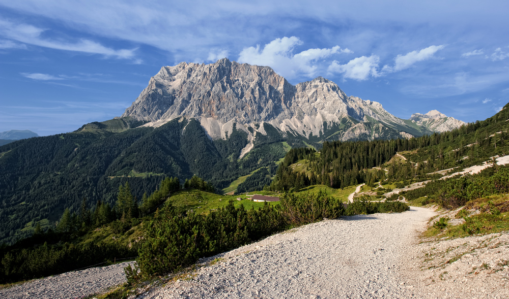 mein Mountainbike Paradies