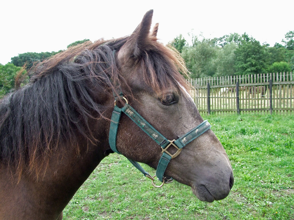 Mein Nachwuchsstar :)