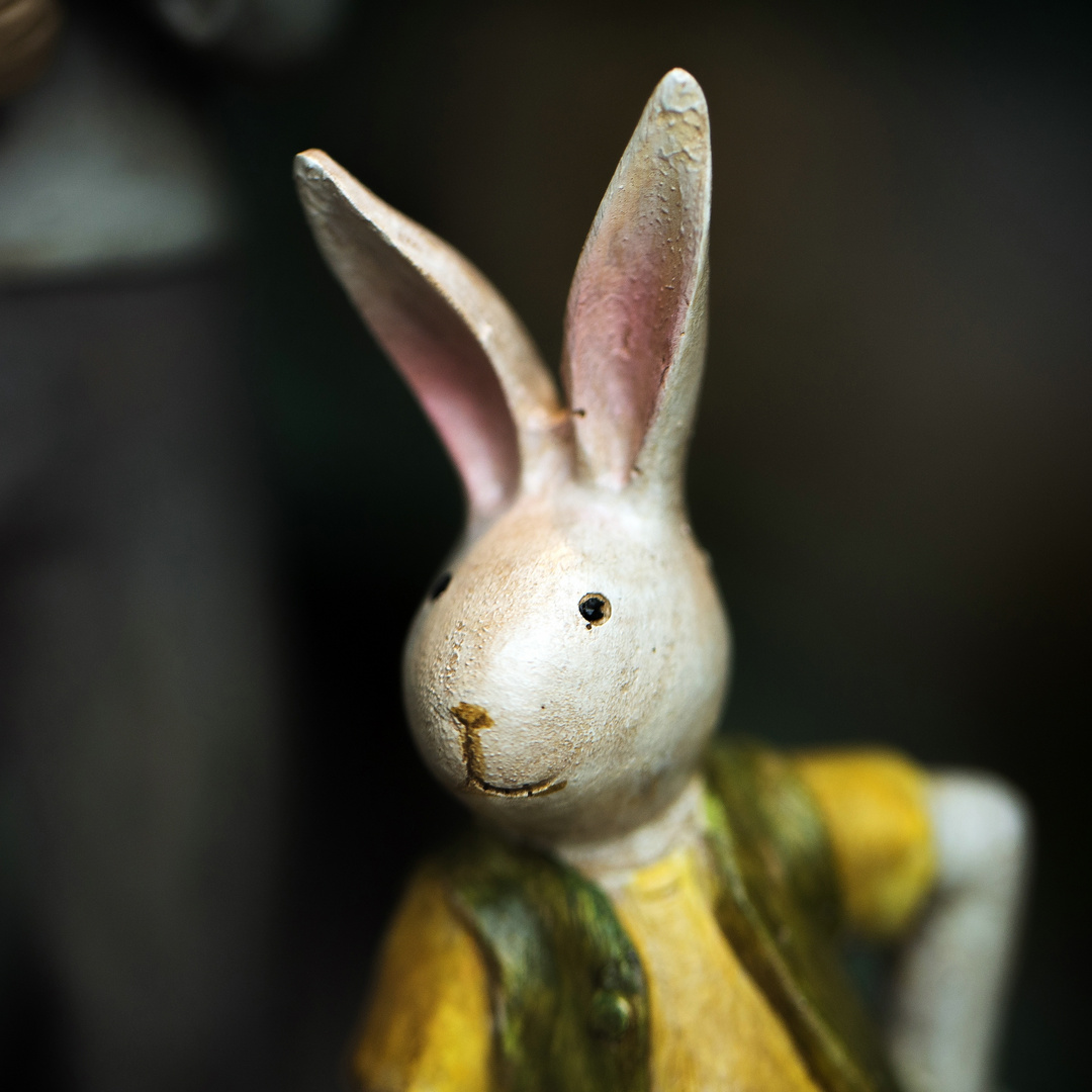 Mein Name ist Hase, ich weiß von nichts. Foto & Bild quatsch, fun und rätselecke, etwas für