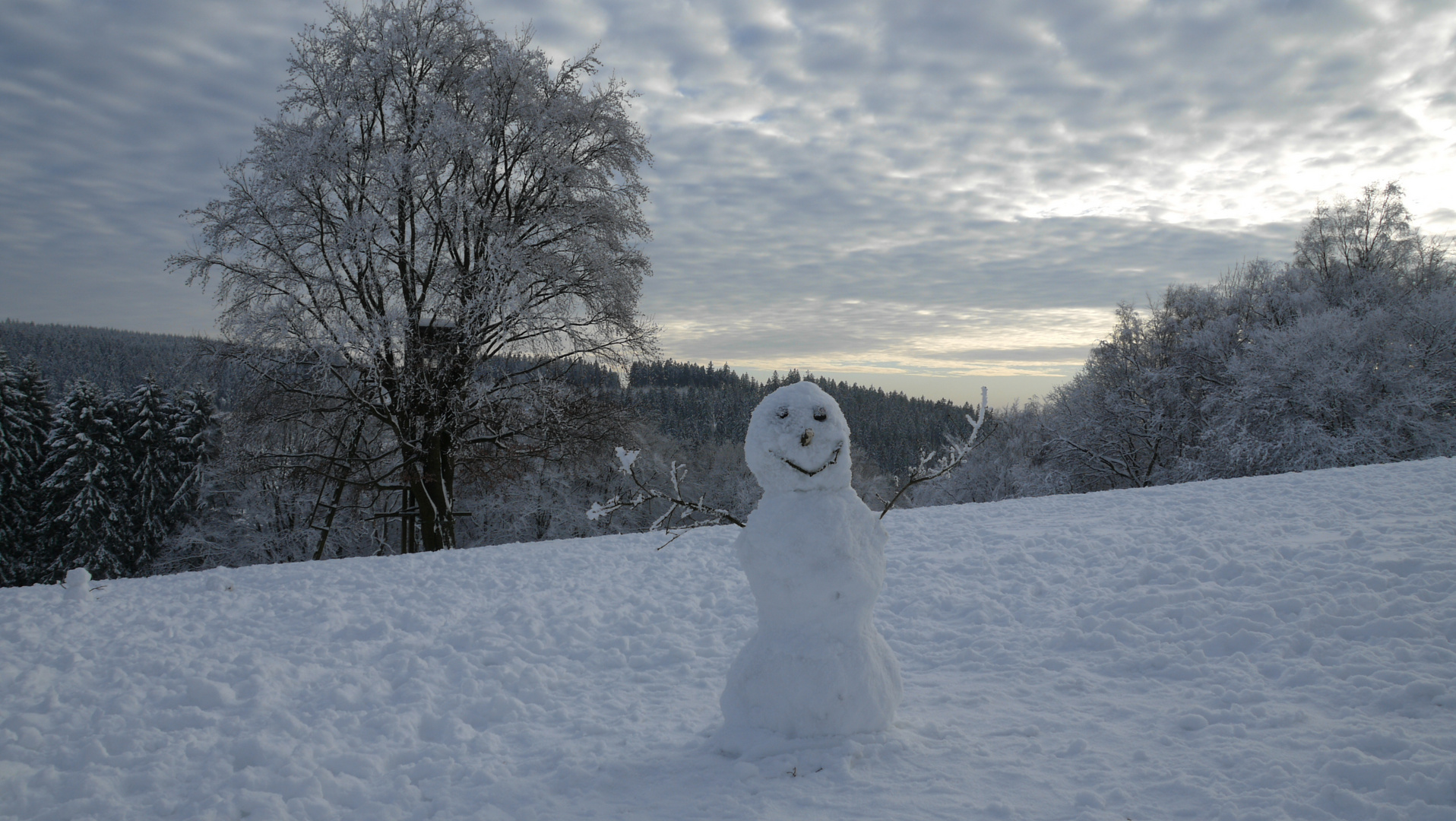 Mein Name ist Schneemann