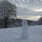 Mein Name ist Schneemann