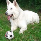 Mein neuer Ball