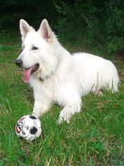 Mein neuer Ball