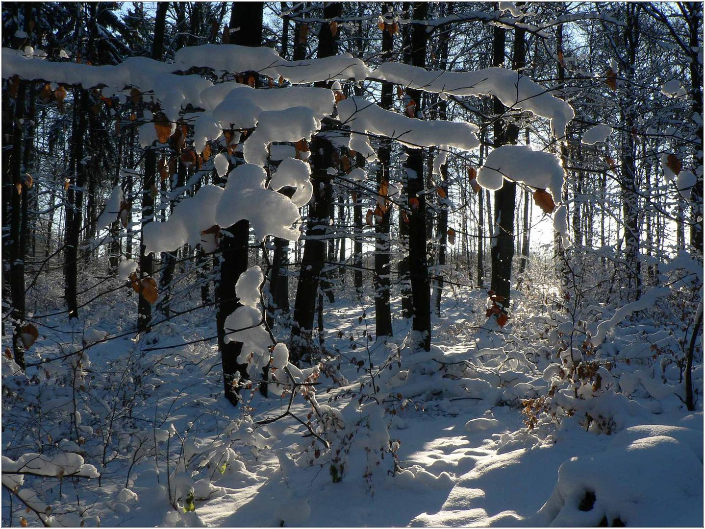 Mein Neuer Desktophintergrund Foto Bild Jahreszeiten Winter Meine Heimat Bilder Auf Fotocommunity