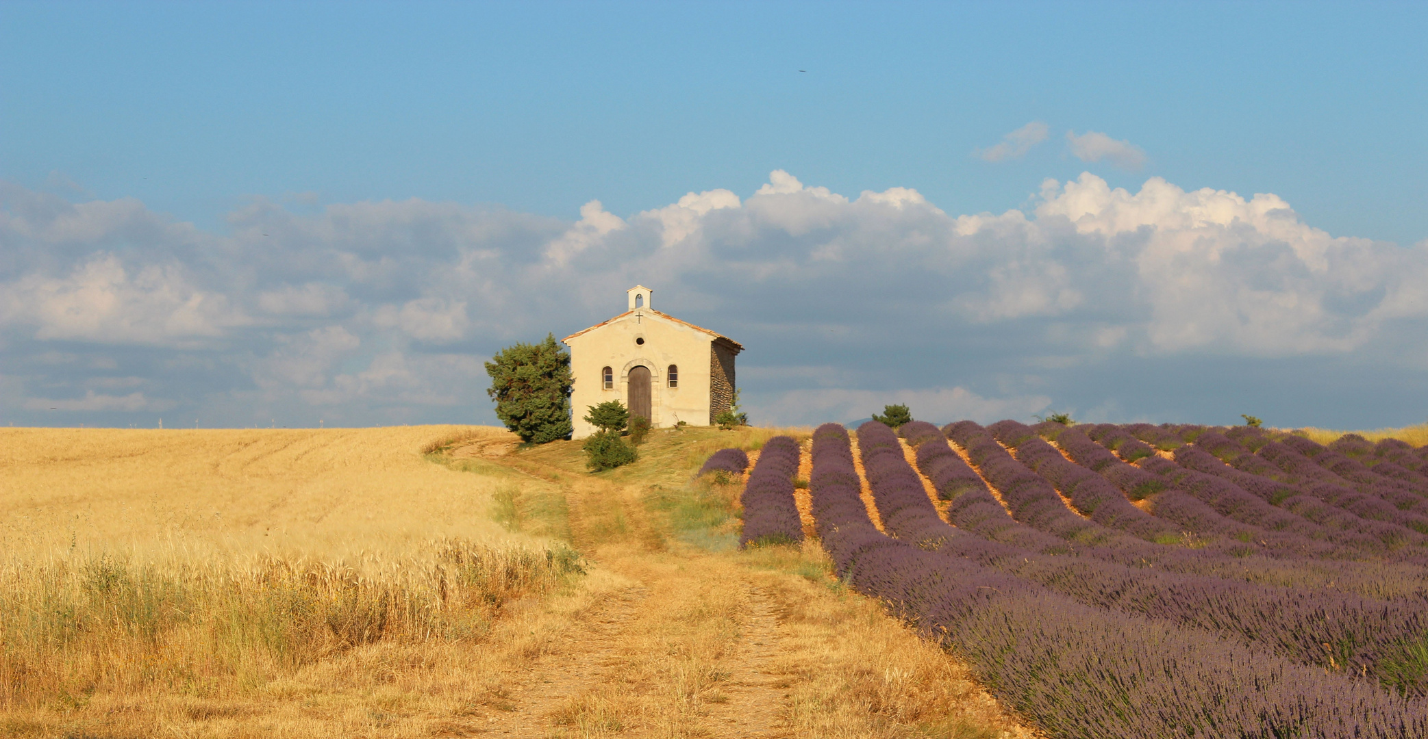 mein neuer Lieblingsplatz in der Provence