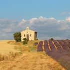 mein neuer Lieblingsplatz in der Provence