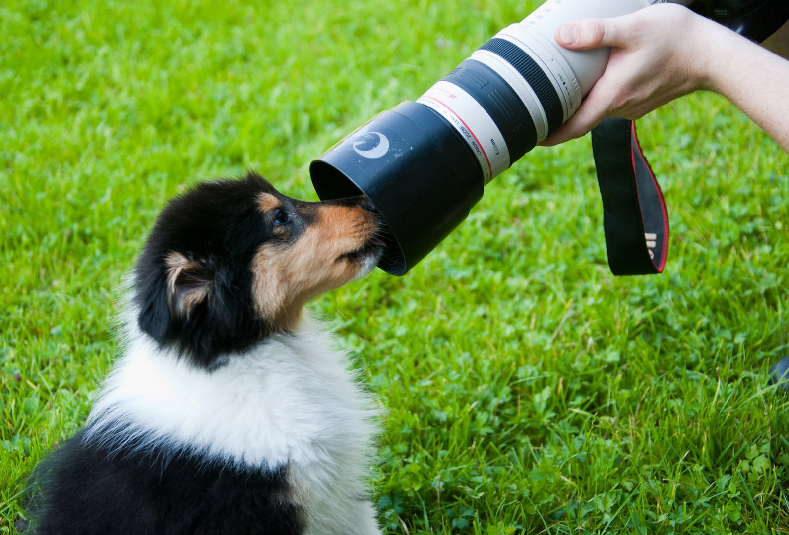 Mein neues Baby beim ersten Fotoshooting