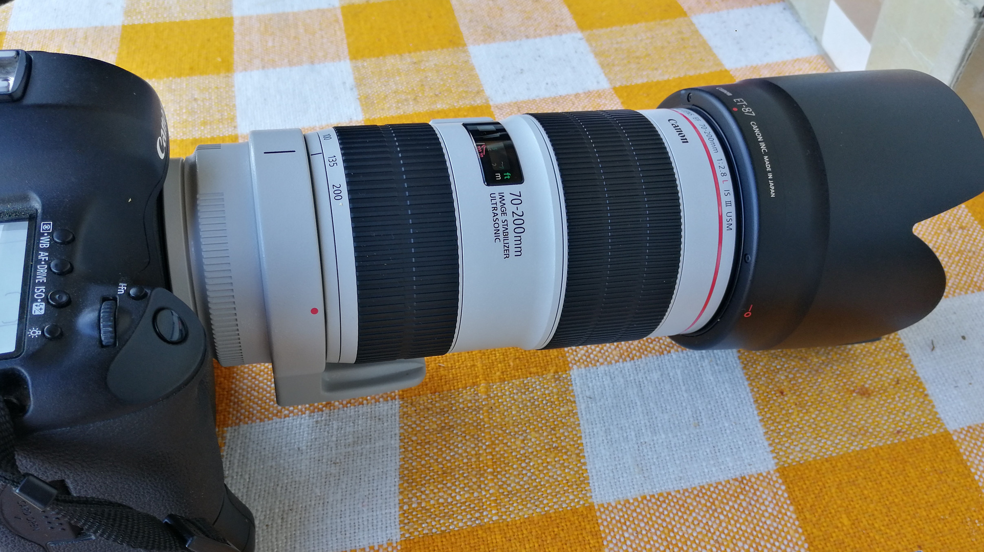 mein neues Canon EF 70-200mm f/2.8L IS III USM Objektiv