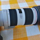 mein neues Canon EF 70-200mm f/2.8L IS III USM Objektiv