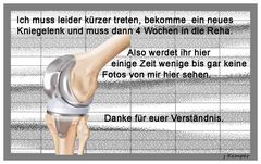 - mein neues Knie wartet -