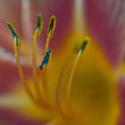 Mein neues Macro - Test 2