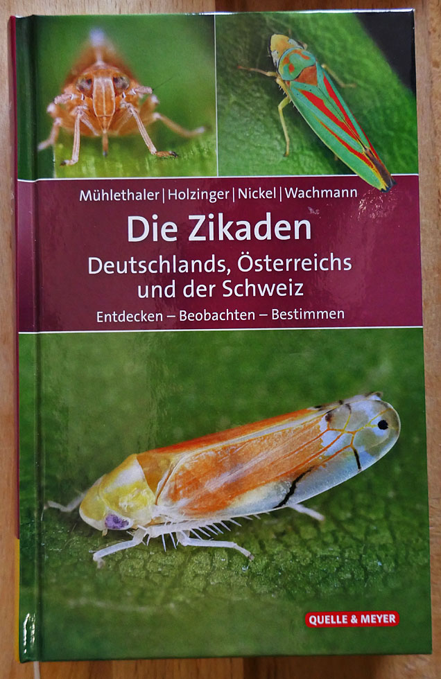 Mein neues Zikadenbuch