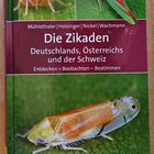 Mein neues Zikadenbuch