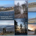 mein Neujahrs - Spaziergang