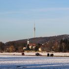 Mein Neujahrsspaziergang 2015