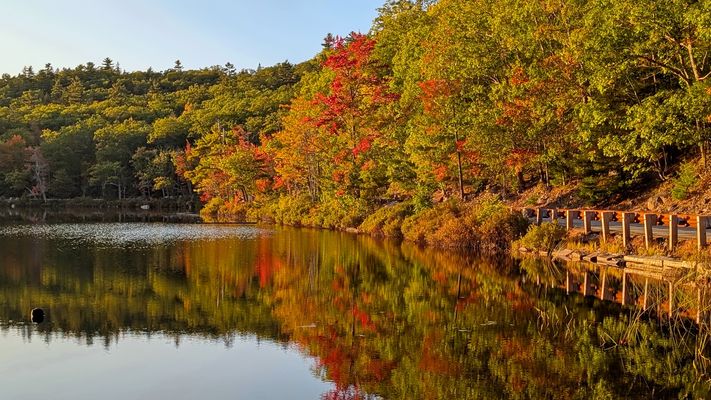 Mein nicht ganz ulimatives Indian-Summer-Foto …