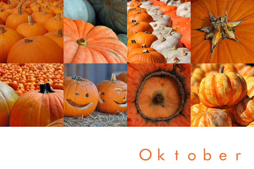 Mein Oktober ist orange