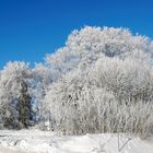 Mein Oldtimer im Schnee