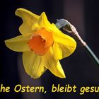 Mein Ostergruß an alle Besucher