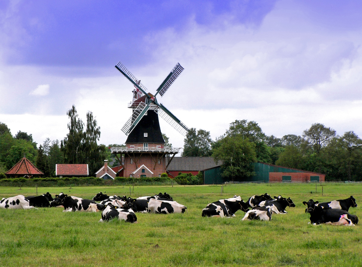 Mein Ostfriesland