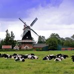 Mein Ostfriesland