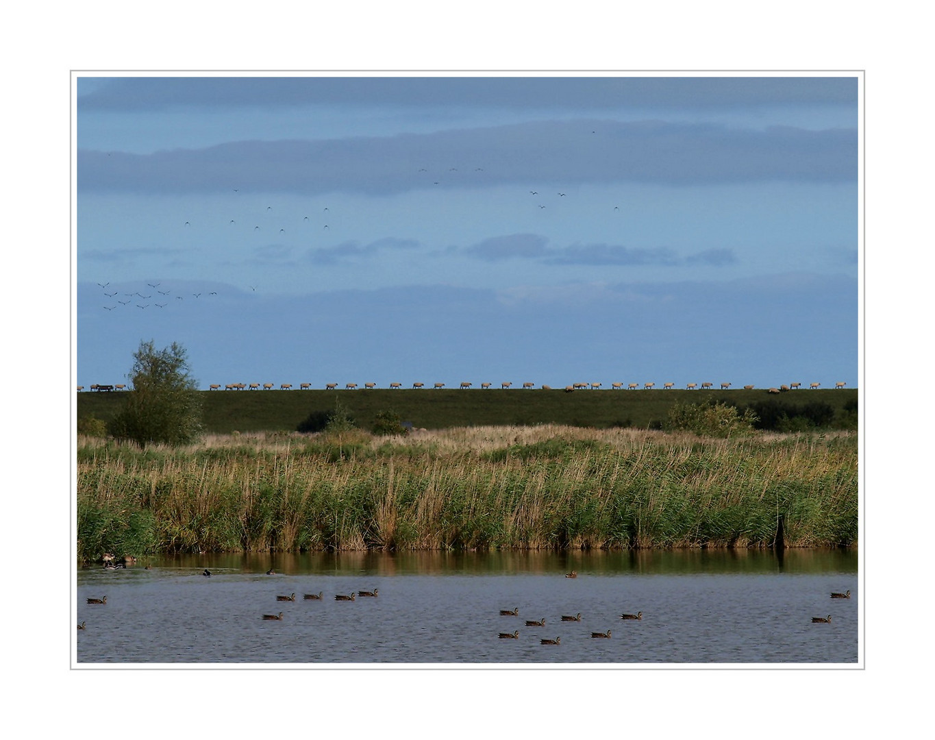 ~ Mein Ostfriesland~