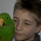 Mein Papagei und ich