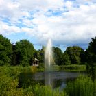 Mein persönlicher Lieblingsort in Leipzig - Der Palmgarten - Teich