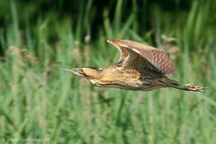 Mein persönliches Highlight