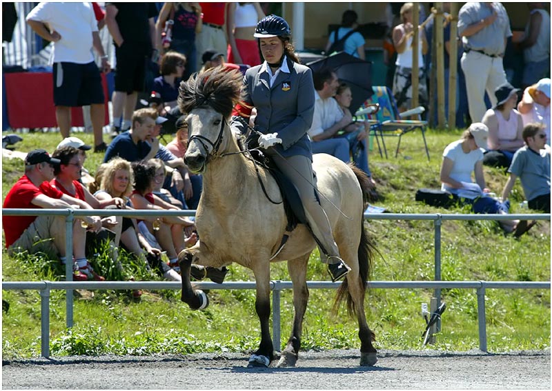 Mein Pferd läuft auch im Schlaf ;)